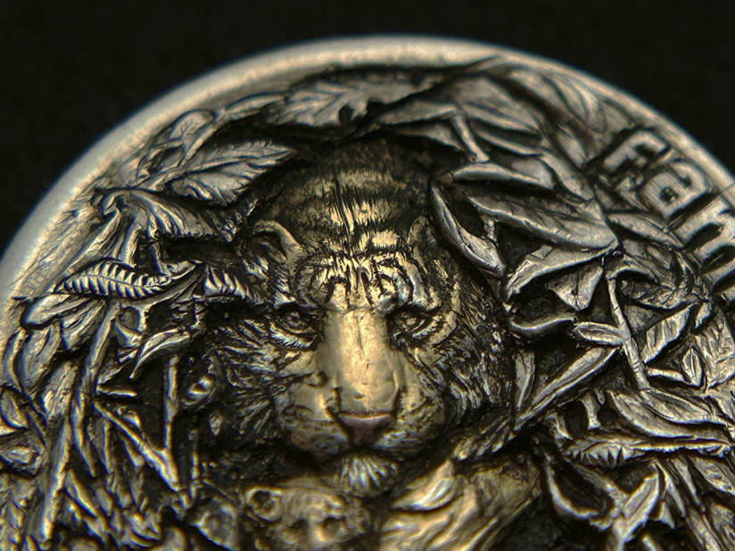 hobo-coin-tiger-10-06-09-22.jpg