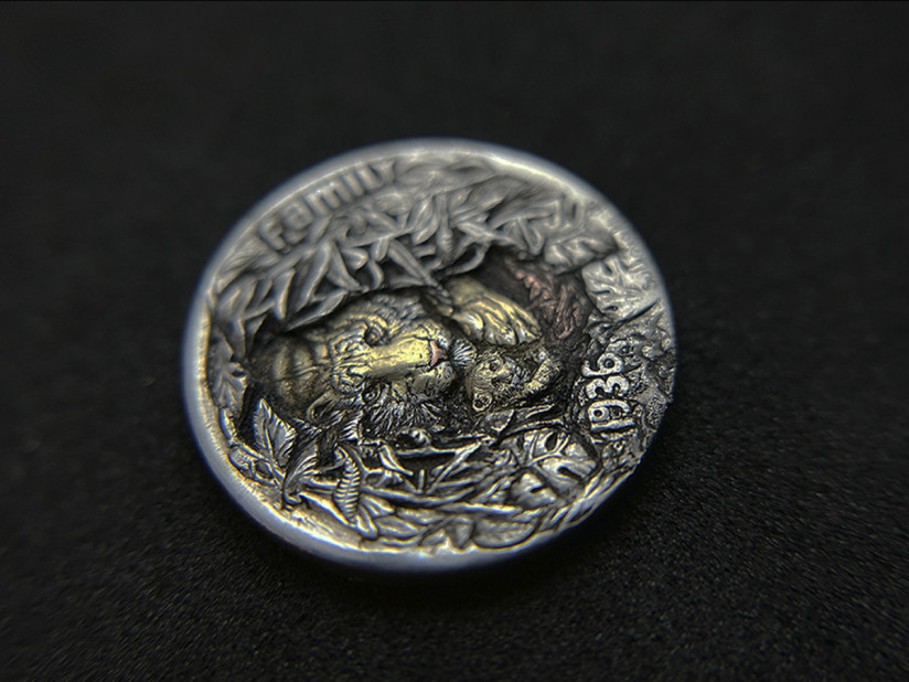 hobonickel-tiger-23-10-06-09-22.jpg