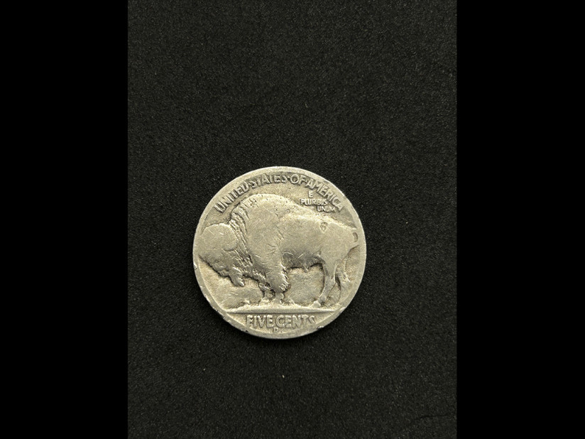 hobonickel-tiger-4-10-06-09-22.jpg