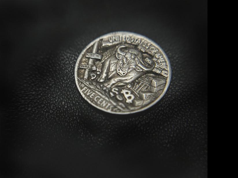 hobonickel_bull-05-31-19-52.jpg