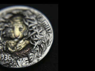 hobonickel-tiger-1-10-06-09-22.jpg