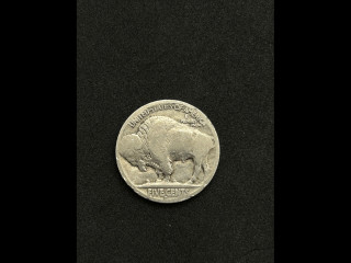 hobonickel-tiger-4-10-06-09-22.jpg
