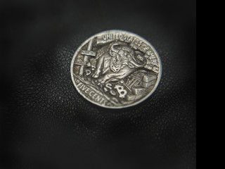 hobonickel_bull-05-31-19-52.jpg