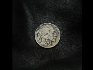 hobonickel_bull_4-05-31-19-52.jpg