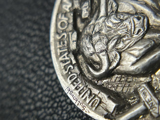 hobonickel_bull_6-05-31-19-52.jpg